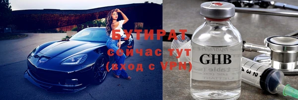 индика Киреевск
