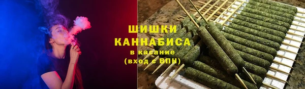 apvp Козельск