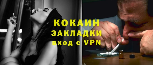 индика Киреевск