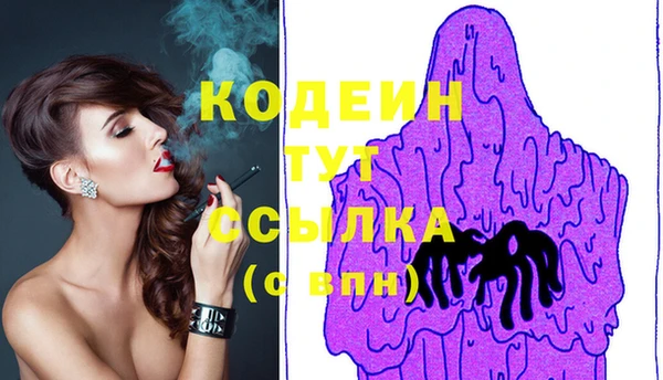 гашик Козловка