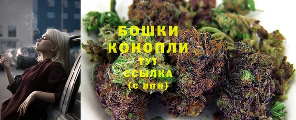 гашик Козловка