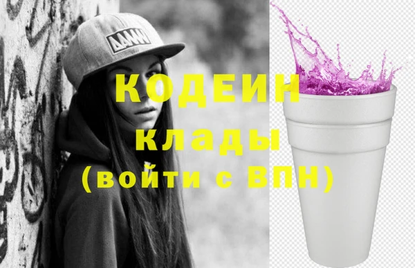 гашик Козловка