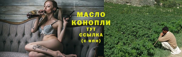 гашик Козловка