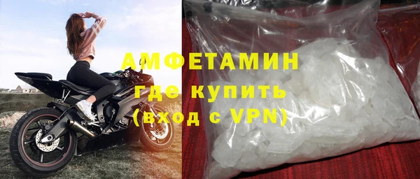 индика Киреевск