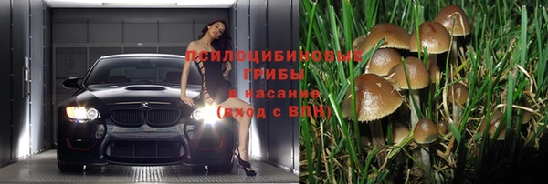 индика Киреевск