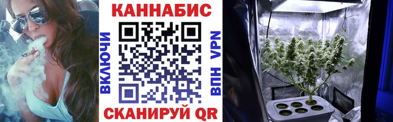 купить   Спасск  Бошки Шишки OG Kush 